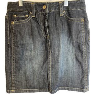 Ann Taylor Petite Skirt Denim Jean 4P